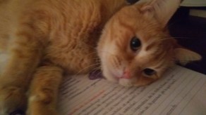 IMG_20170619_213908874