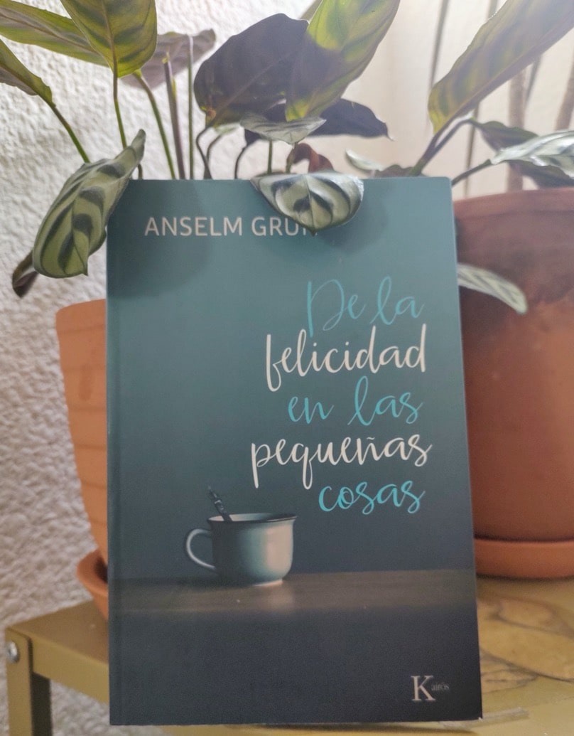 De la felicidad en las pequeñas cosas - Mentalizarte